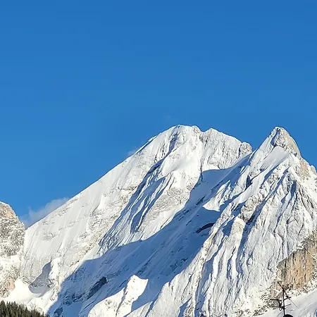 게스트하우스 Garni Mozart Nesthouse