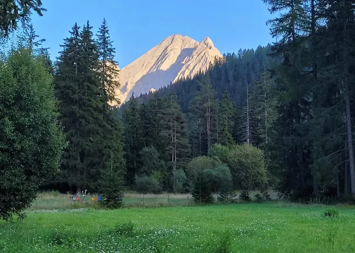 Garni Mozart Nesthouse Πανσιόν 4*